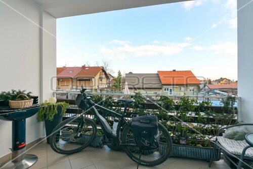 Thumbnail 6136971 - 13