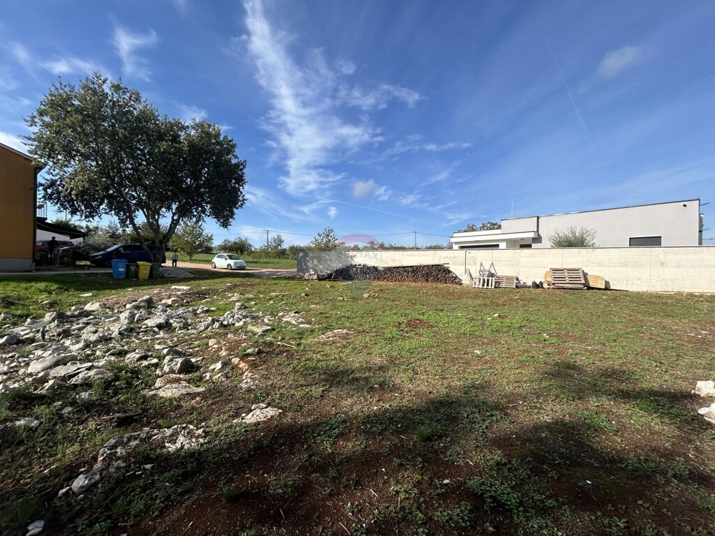 Image 6137073 - 1