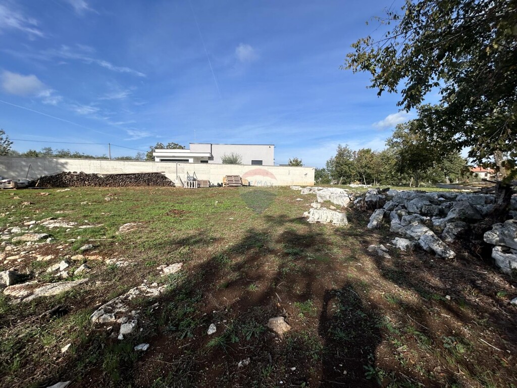 Image 6137073 - 2