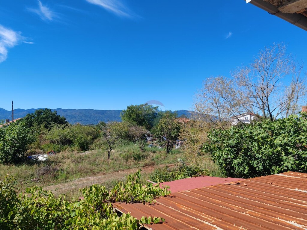 Image 6137078 - 4