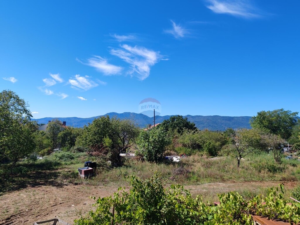Image 6137078 - 1