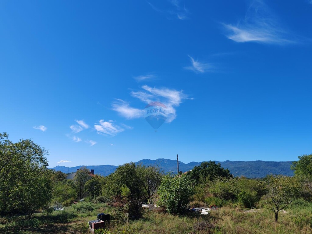 Image 6137078 - 2