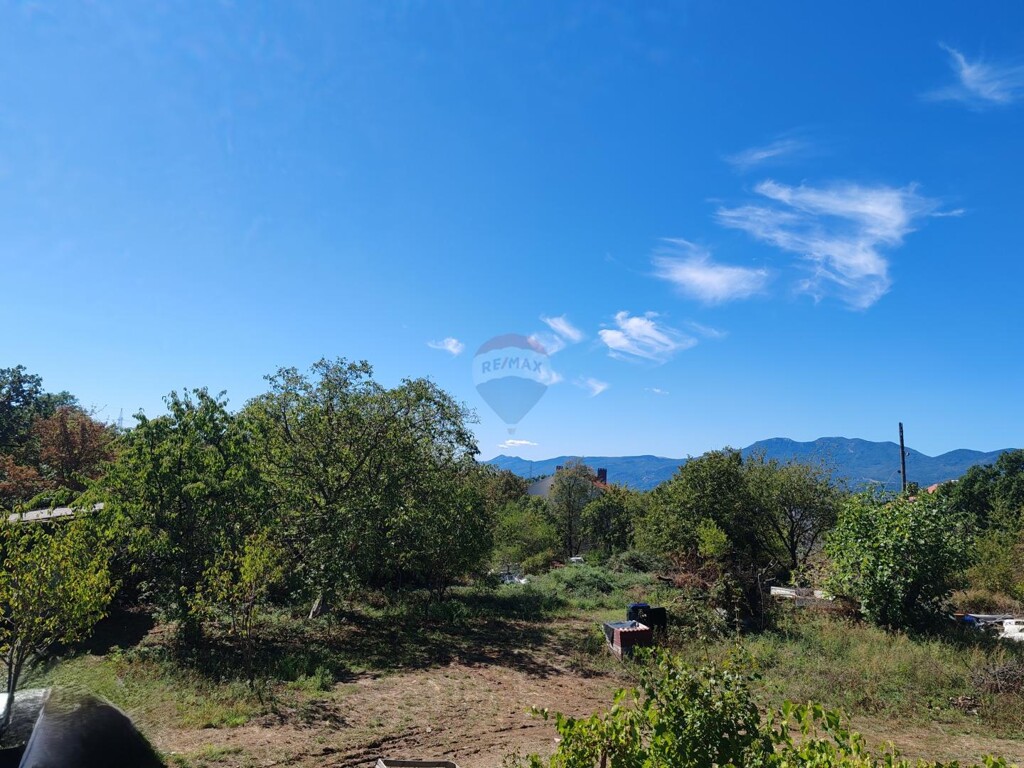 Image 6137078 - 3