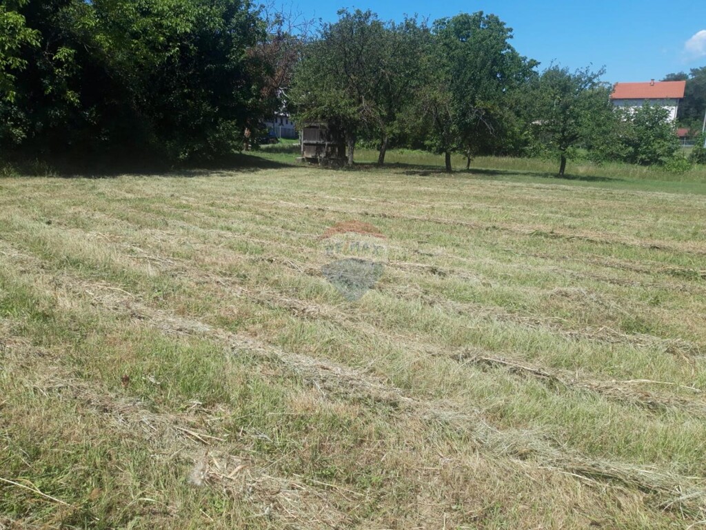 Image 6137080 - 2