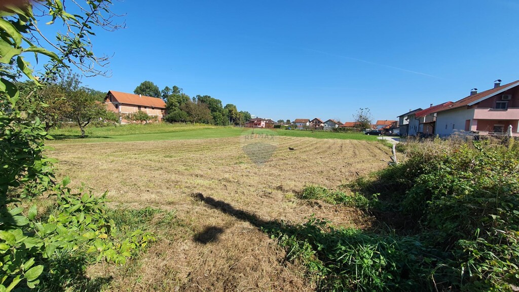 Image 6137080 - 1