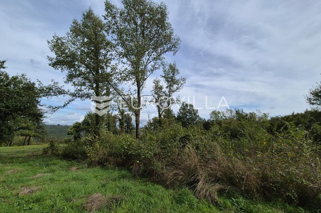 Image 6137401 - 6