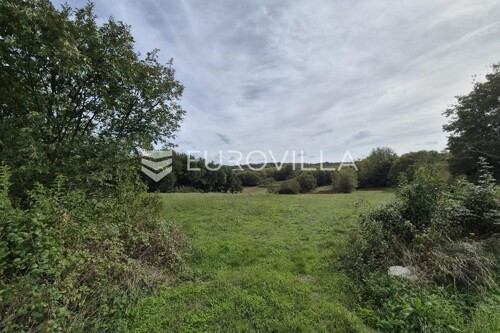 Thumbnail 6137403 - 6
