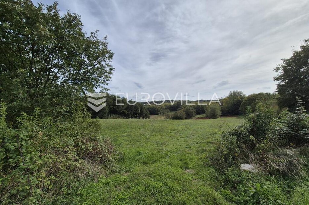 Image 6137403 - 6