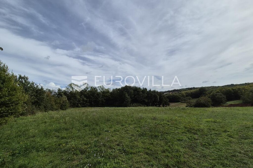 Image 6137405 - 19