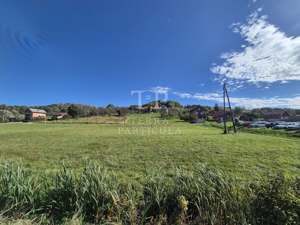 Image 6137415 - 13