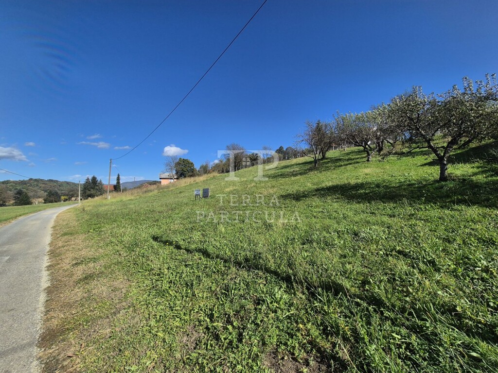 Image 6137415 - 12