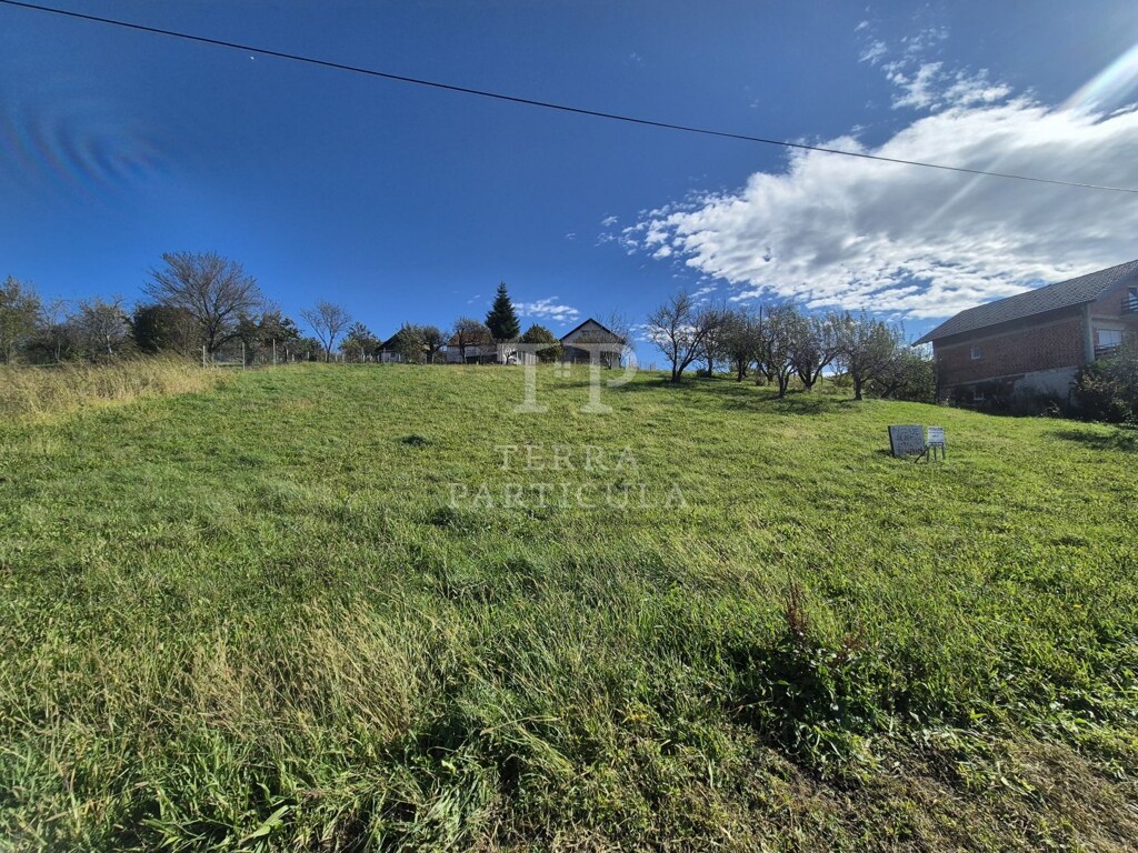 Image 6137415 - 11