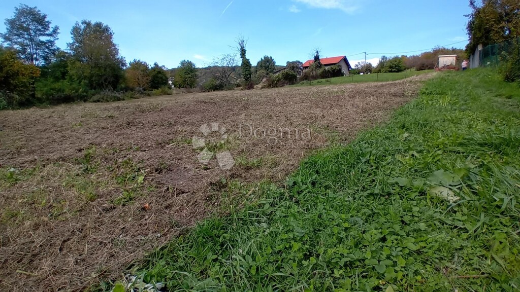 Image 6137425 - 5