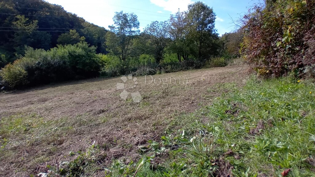 Image 6137425 - 2