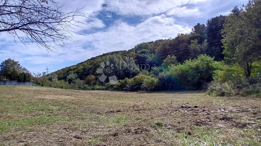 Image 6137425 - 3