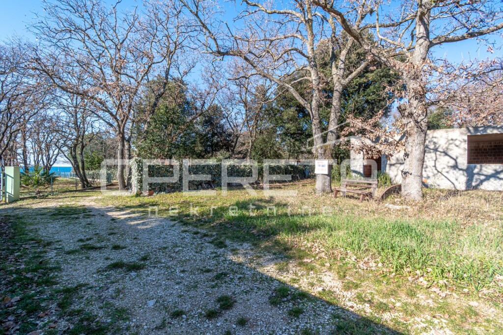 Image 6137573 - 2