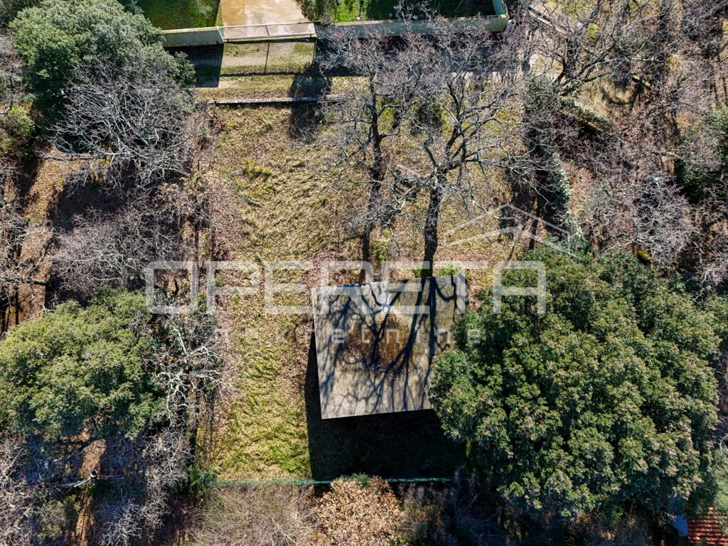 Image 6137573 - 9