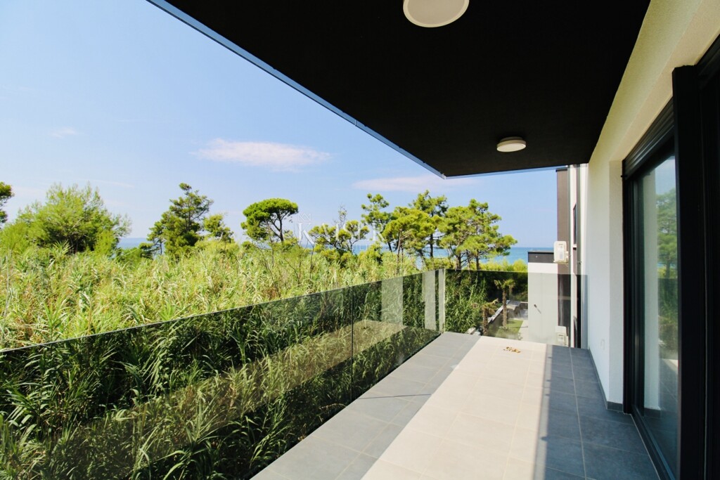 Image 6137669 - 4