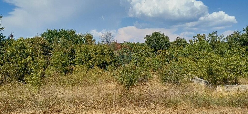 Image 6137717 - 7