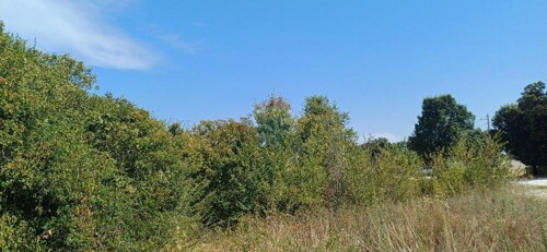 Thumbnail 6137717 - 11