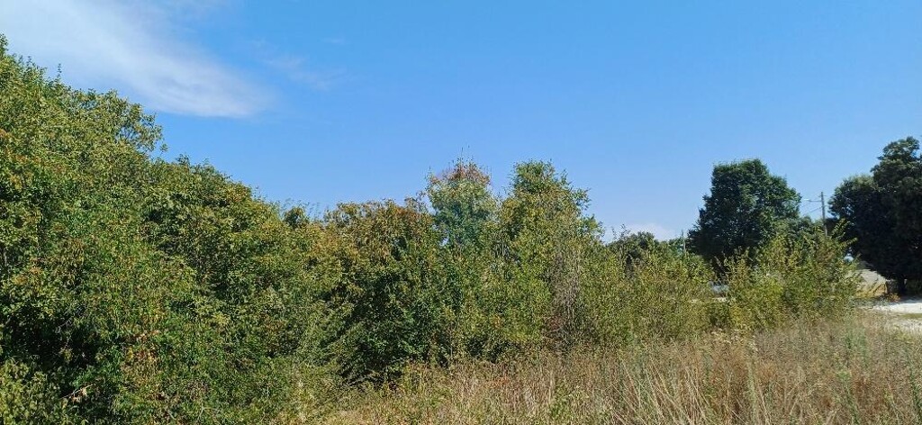 Image 6137717 - 11