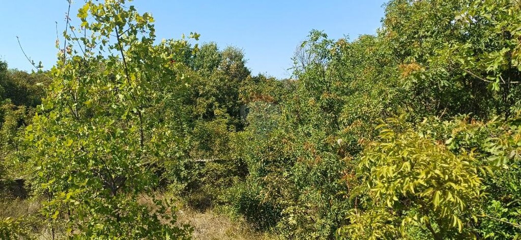 Image 6137717 - 3