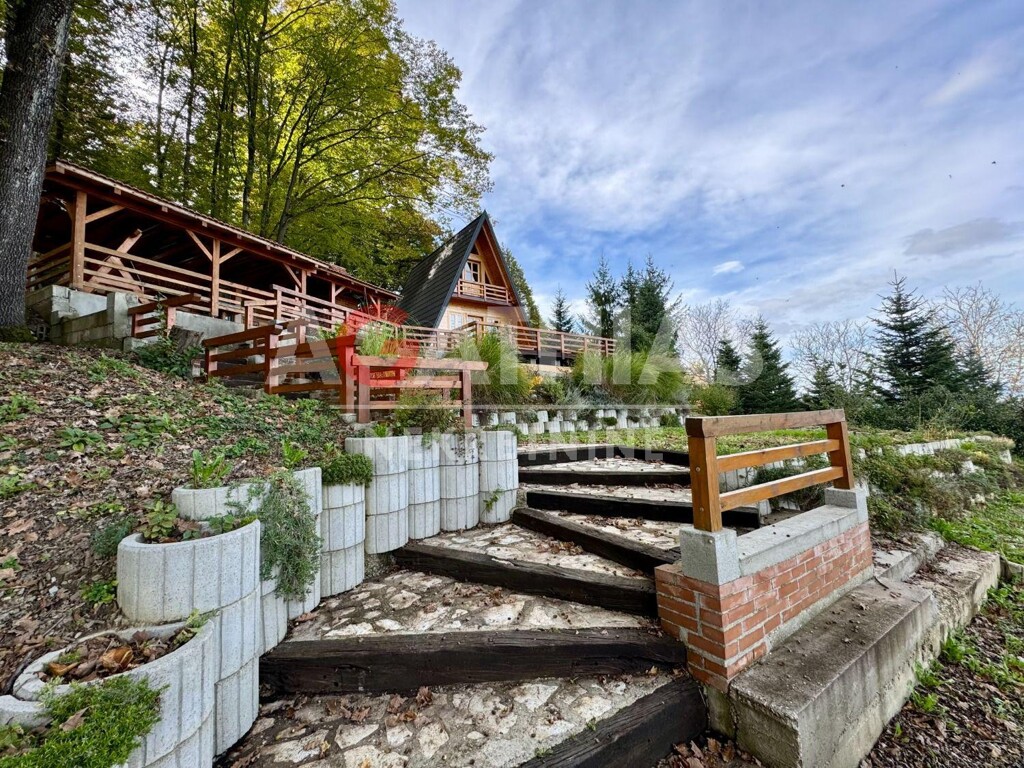 Image 6137733 - 2