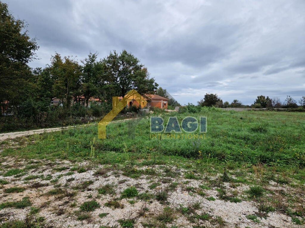 Image 6138454 - 13