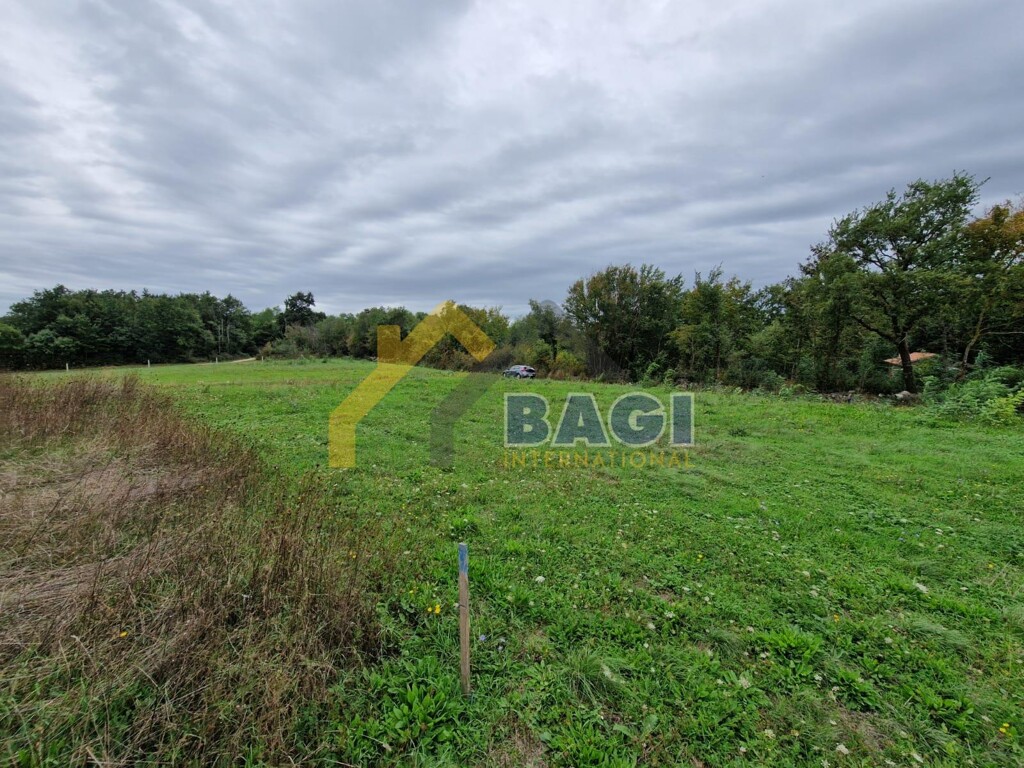 Image 6138454 - 17