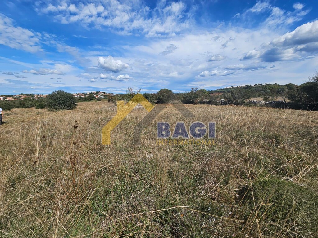 Image 6138458 - 5