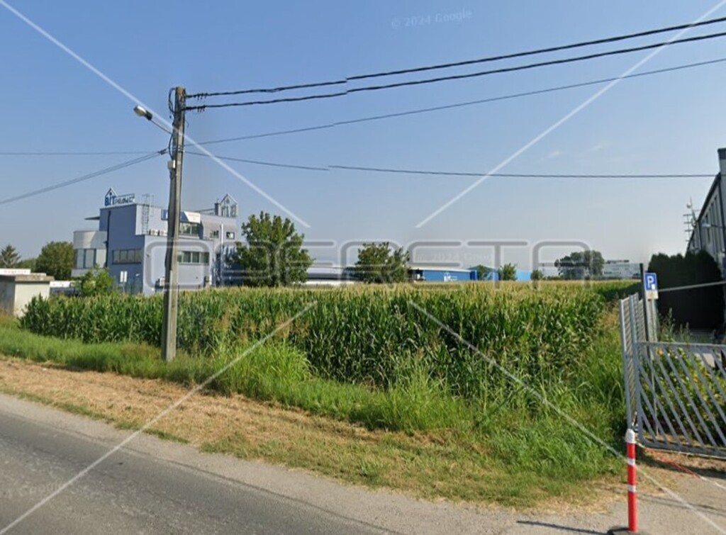 Image 6138626 - 3