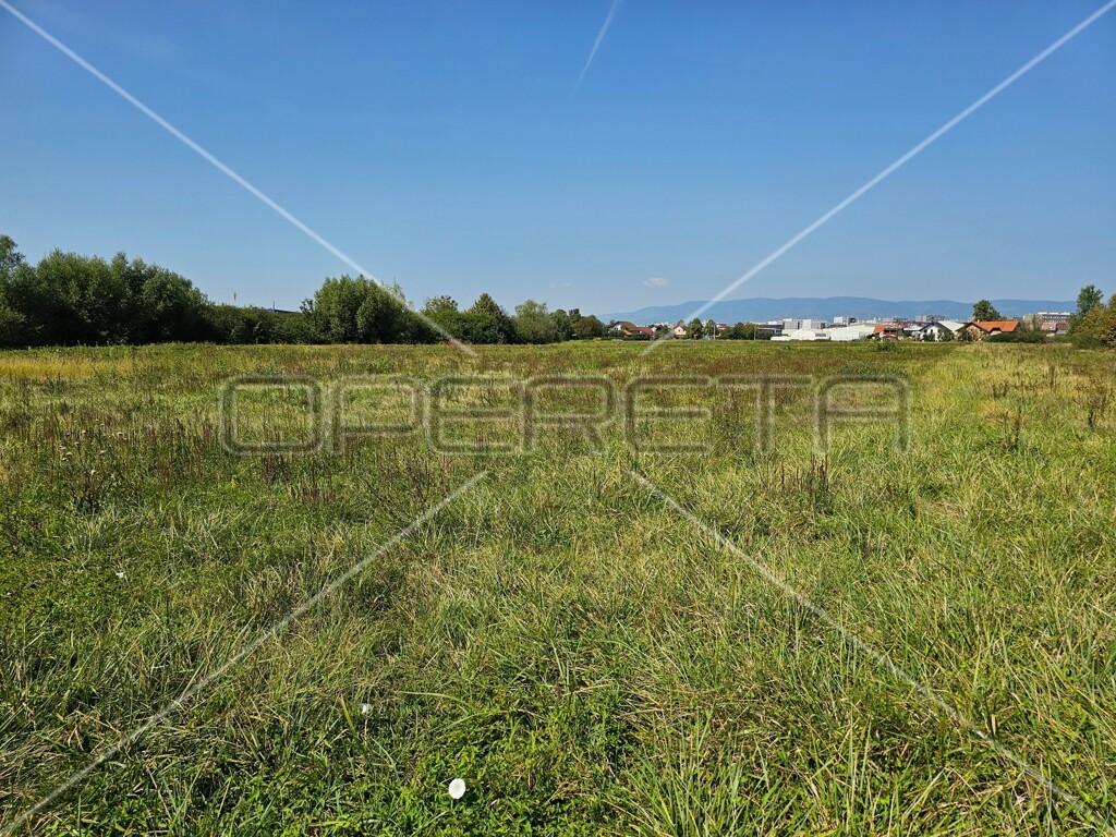Image 6138627 - 5