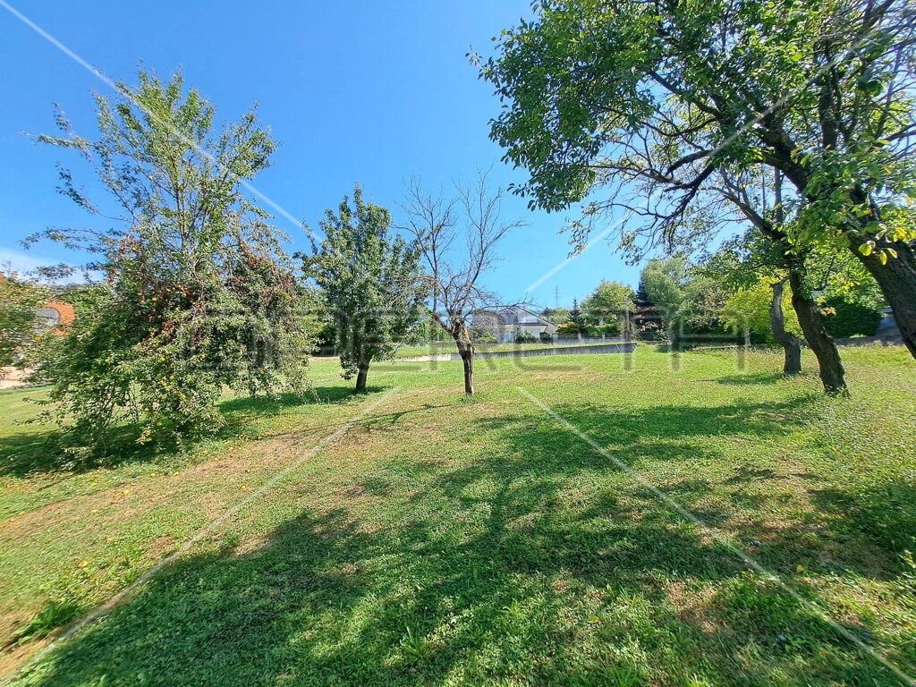 Image 6138629 - 11