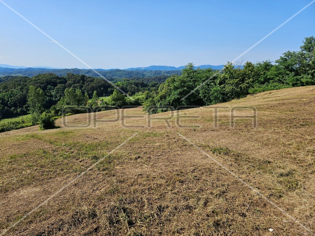 Image 6138631 - 13