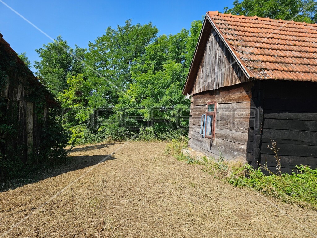 Image 6138631 - 8