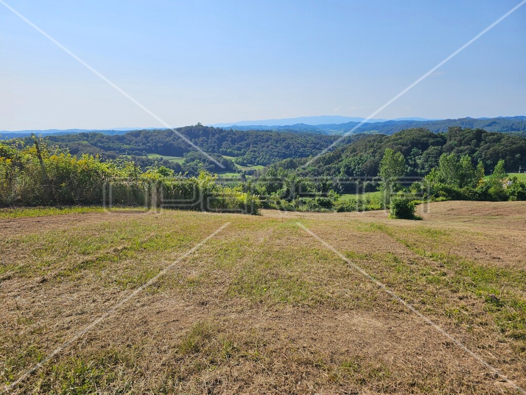 Image 6138631 - 2