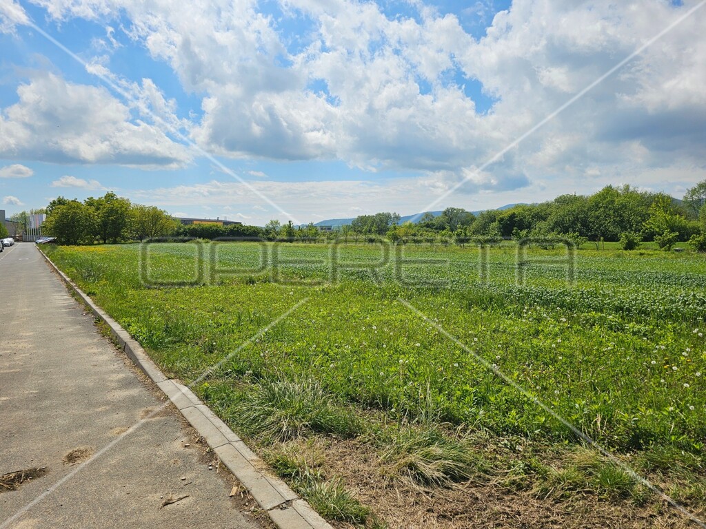 Image 6138638 - 12