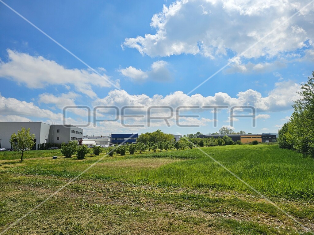 Image 6138638 - 10