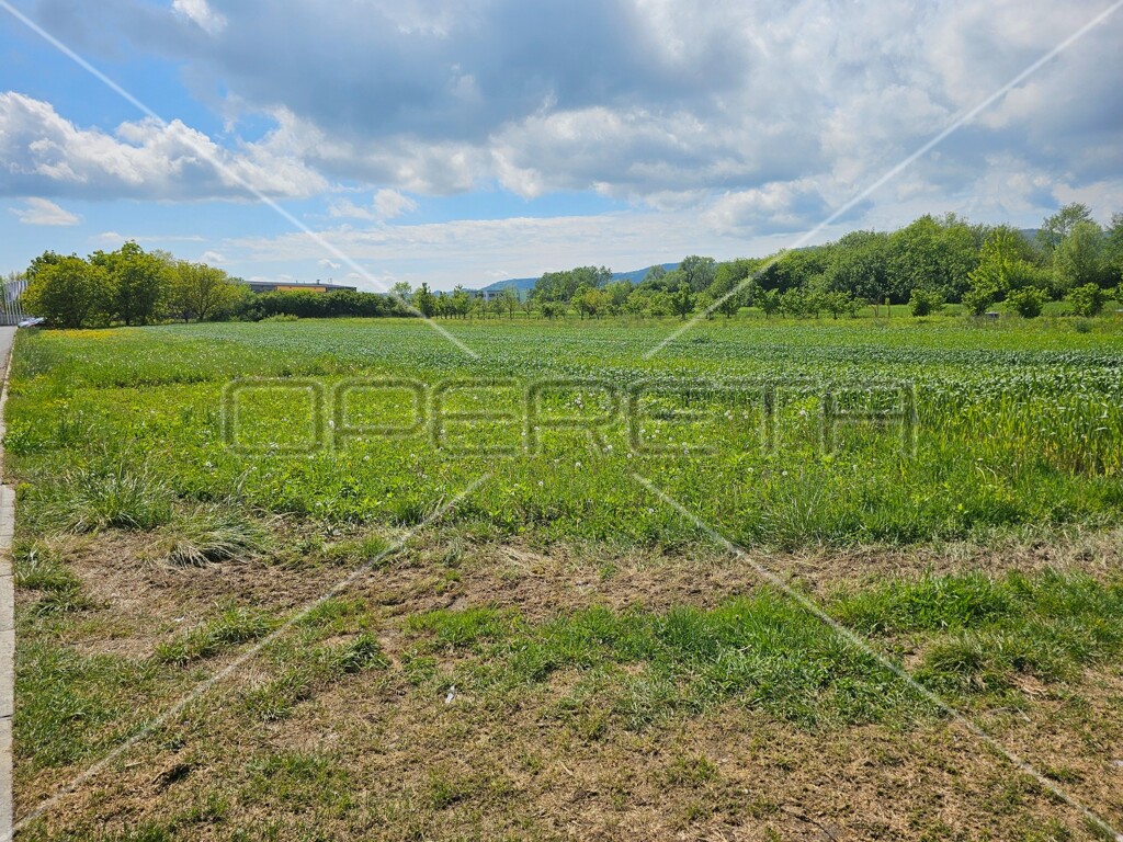 Image 6138638 - 8