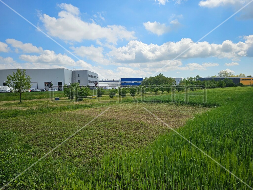 Image 6138638 - 5