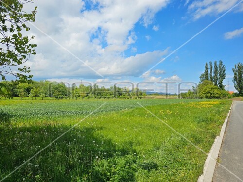 Gradna, Bobovica, 5.147,00 m2, 448.685,00 EUR