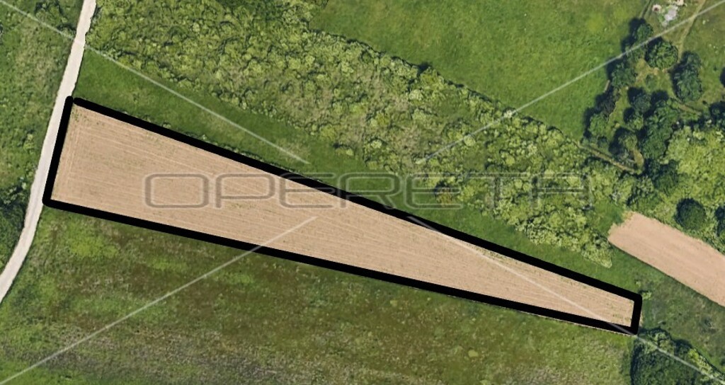 Image 6138643 - 2