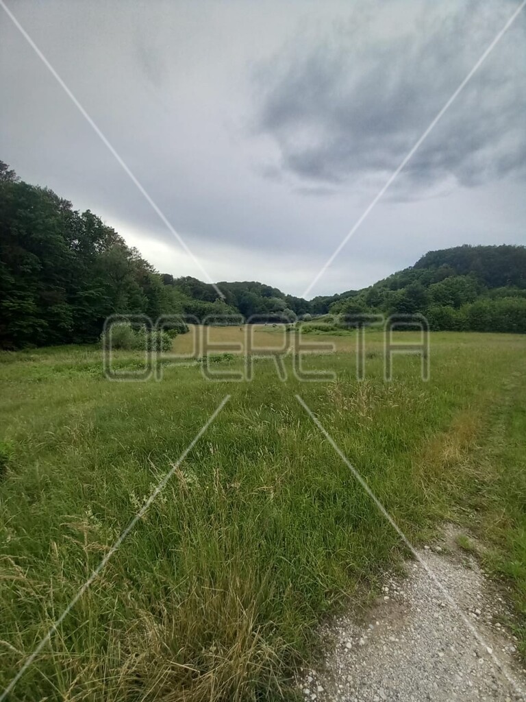 Image 6138646 - 8