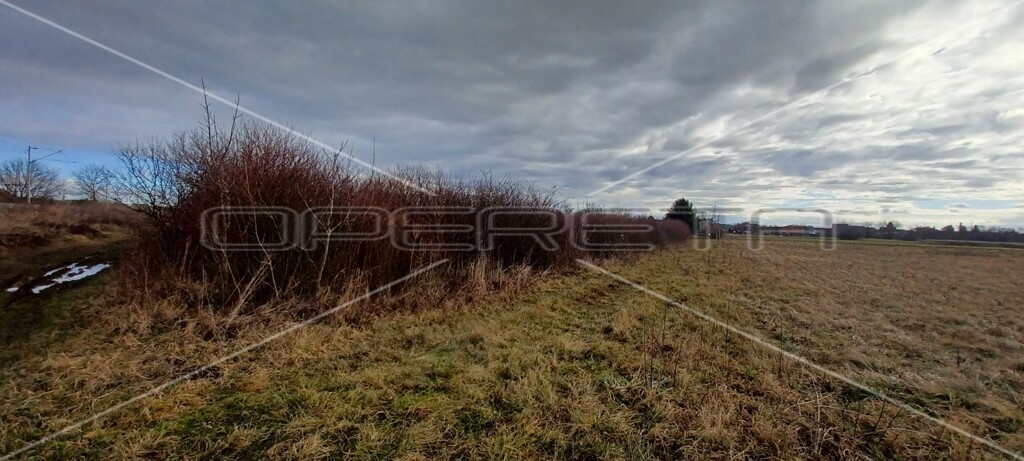 Image 6138646 - 5