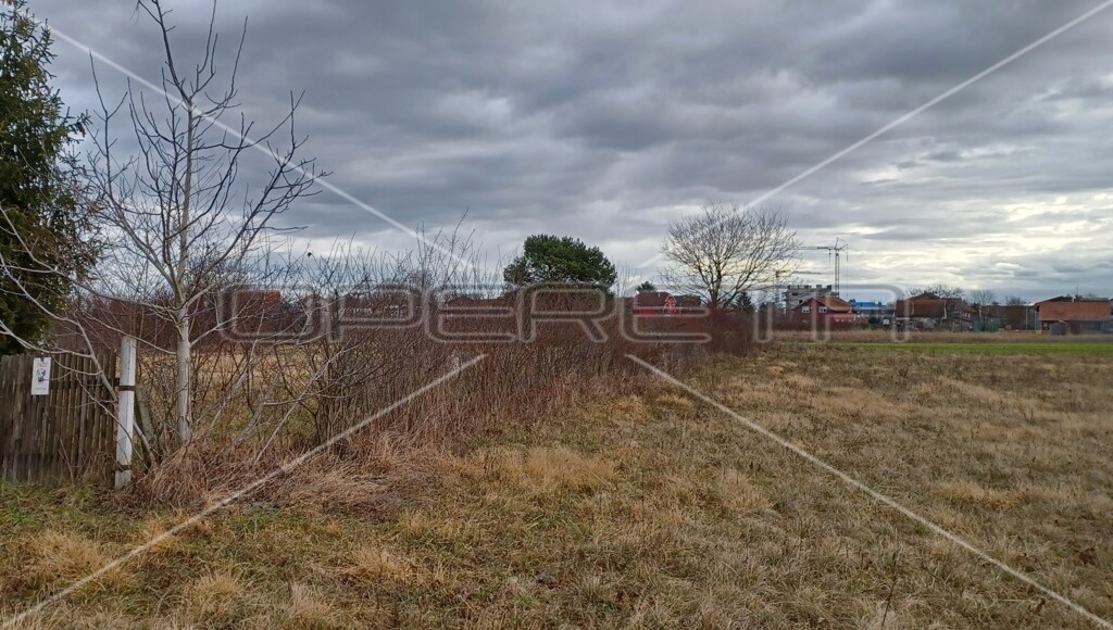 Image 6138646 - 2