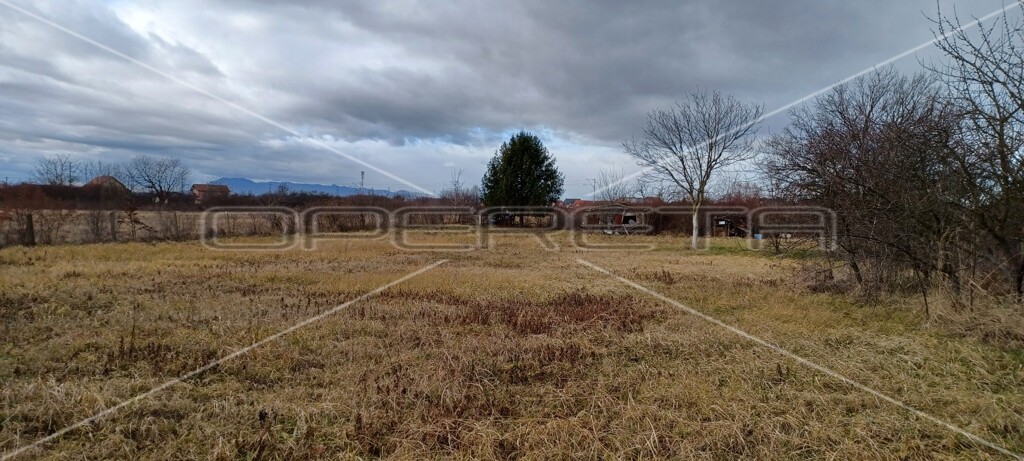 Image 6138646 - 3