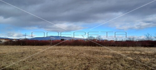 Thumbnail 6138646 - 4