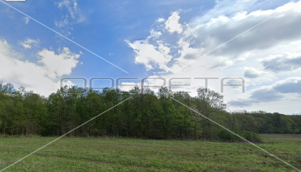 Image 6138647 - 2