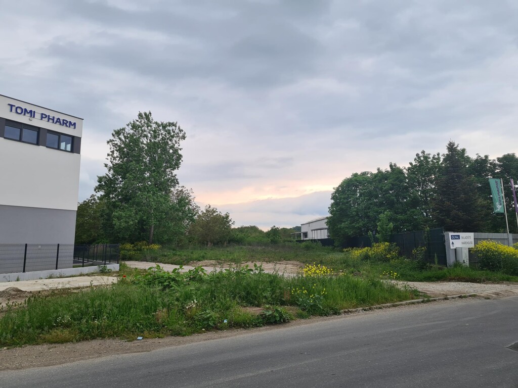 Image 6138652 - 1