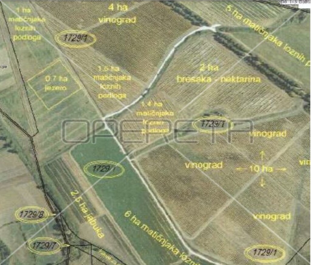 Image 6138653 - 5